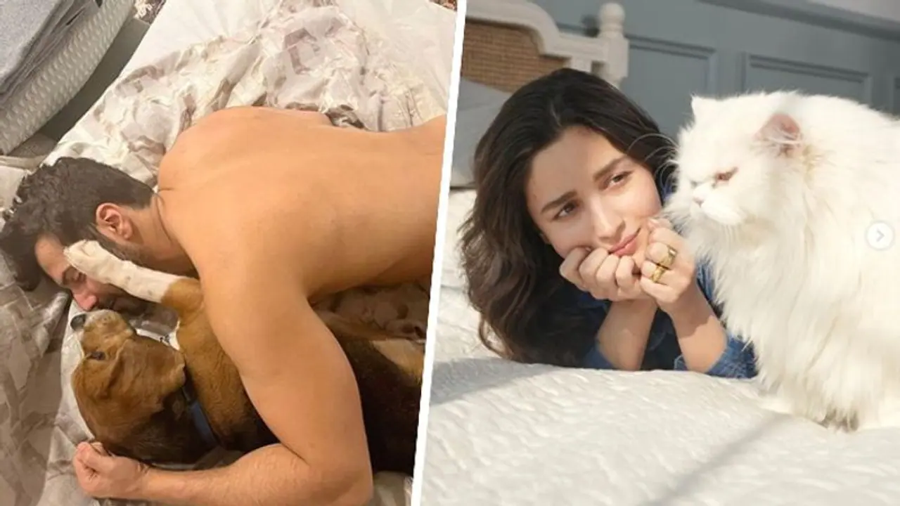 National Pets Day 2023: From Alia Bhatt to Varun Dhawan, proud celebrity pet parents in Bollywood National Pets Day 2023: From Alia Bhatt to Varun Dhawan, proud celebrity pet parents in Bollywood