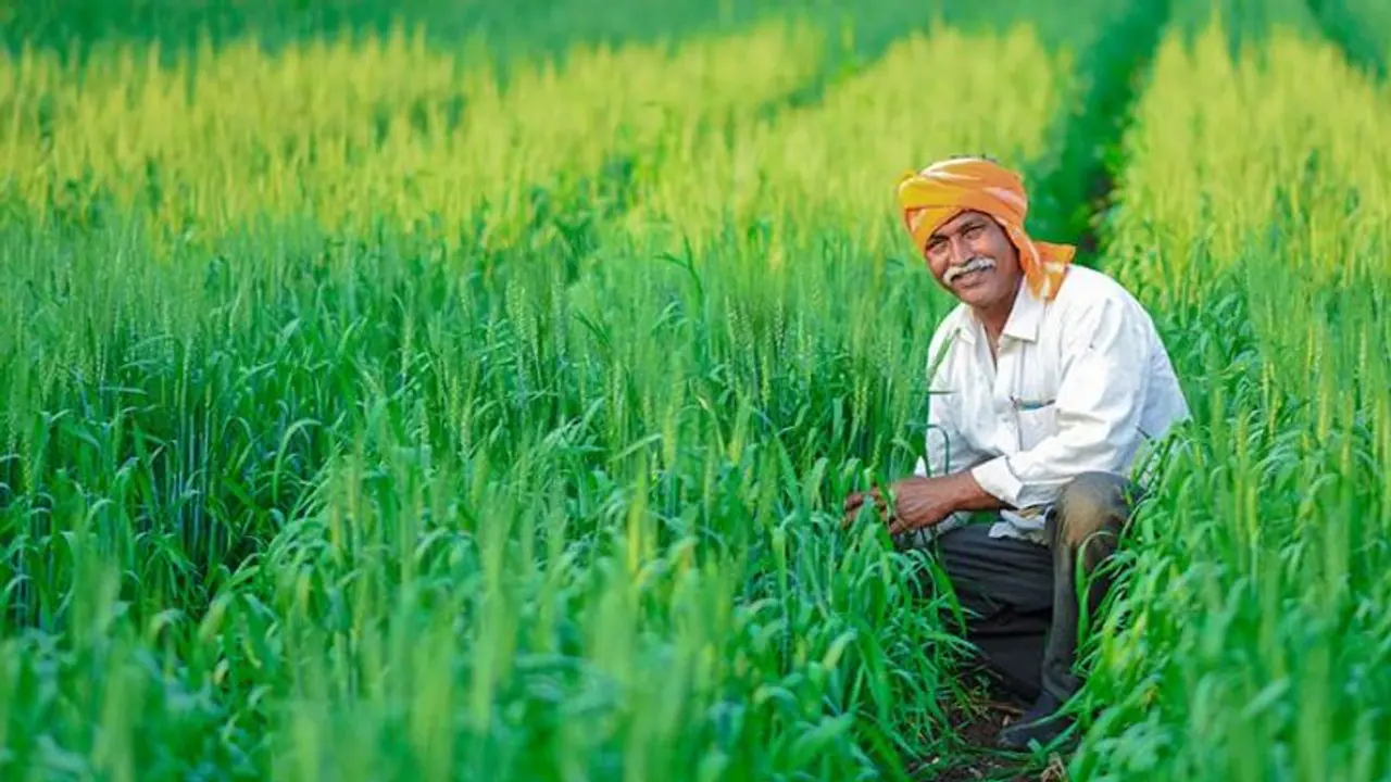ಬೆಳೆ ಸಮೀಕ್ಷೆ ಅನುಮೋದನೆಯಾಗದೆ ರೈತರ ಗೋಳು: ಪರಿಹಾರದಿಂದಲೂ ವಂಚಿತರಾಗುವ ಆತಂಕ! ಬೆಳೆ ಸಮೀಕ್ಷೆ ಅನುಮೋದನೆಯಾಗದೆ ರೈತರ ಗೋಳು: ಪರಿಹಾರದಿಂದಲೂ ವಂಚಿತರಾಗುವ ಆತಂಕ!