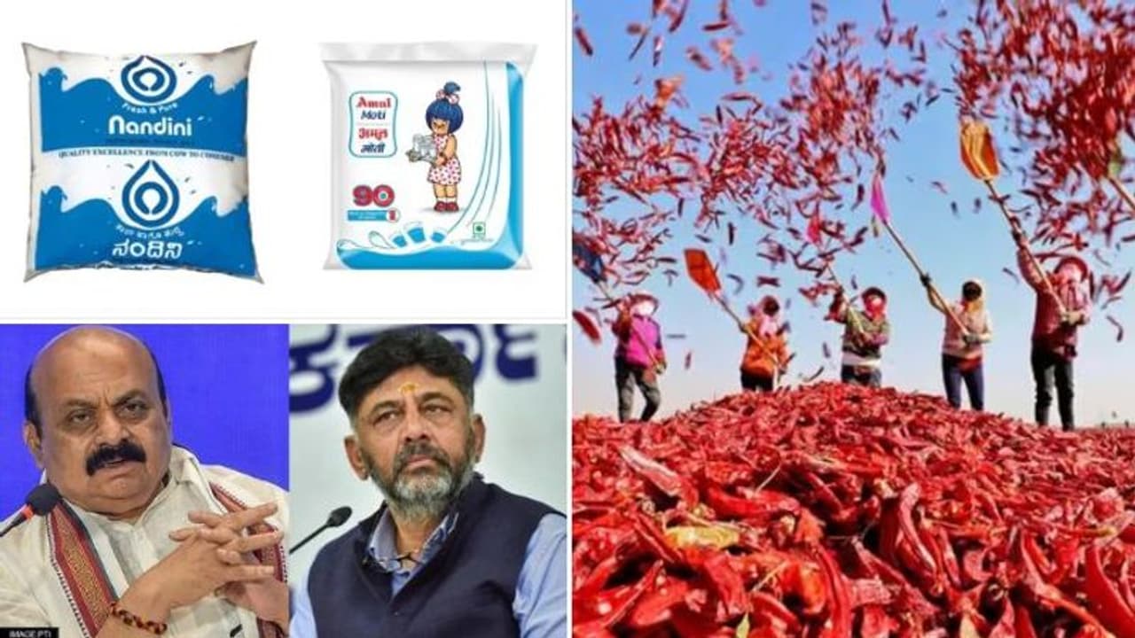 கர்நாடக தேர்தல்: நந்தினி Vs அமுல்.. பாஜக காங்கிரஸ் மோதல் குறுக்க இந்த குஜராத் மிளகாய் வந்தா.! கர்நாடக தேர்தல்: நந்தினி Vs அமுல்.. பாஜக காங்கிரஸ் மோதல் குறுக்க இந்த குஜராத் மிளகாய் வந்தா.!