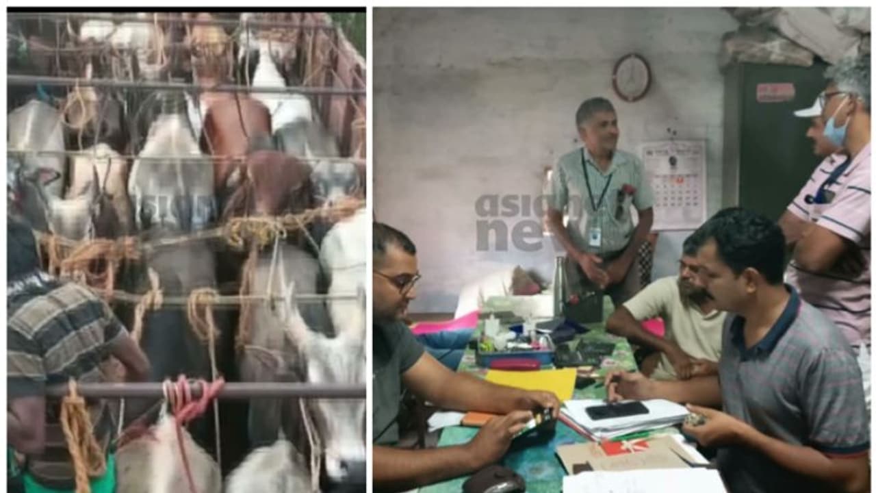 ഓടിനടിയിലും വാഴപ്പോളയിലും കൈക്കൂലിപ്പണം; പാലക്കാട്ട് വിജിലൻസ് റെയ്ഡ്, മൃഗസംരക്ഷണ വകുപ്പ് ഉദ്യോഗസ്ഥർ കുടുങ്ങി ഓടിനടിയിലും വാഴപ്പോളയിലും കൈക്കൂലിപ്പണം; പാലക്കാട്ട് വിജിലൻസ് റെയ്ഡ്, മൃഗസംരക്ഷണ വകുപ്പ് ഉദ്യോഗസ്ഥർ കുടുങ്ങി