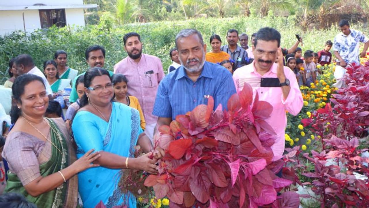 വിഷുക്കാല പച്ചക്കറികളുമായി മുഹമ്മ സി എം എസ് എൽ പി സ്കൂള്, കൃഷിക്ക് ഇവിടെ അവധിയില്ല വിഷുക്കാല പച്ചക്കറികളുമായി മുഹമ്മ സി എം എസ് എൽ പി സ്കൂള്, കൃഷിക്ക് ഇവിടെ അവധിയില്ല