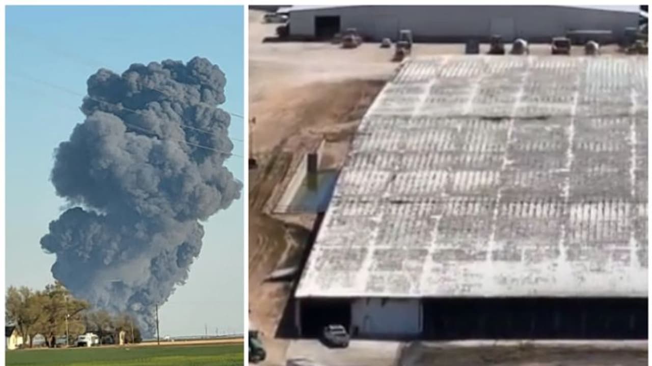 ടെക്‌സാസ് ഡയറി ഫാമില്‍ തീപിടിത്തം; 18,000 പശുക്കൾ കൊല്ലപ്പെട്ടു