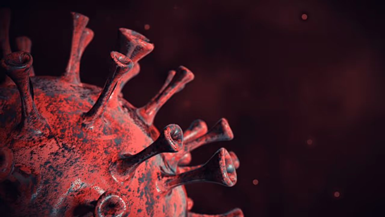 ಕರ್ನಾಟಕದಲ್ಲಿ ಮತ್ತೆ ಕೊರೋನಾ ಹೆಚ್ಚಳ: ಹೊಸ ವರ್ಷಾಚರಣೆಗೆ ನಿರ್ಬಂಧ ಫಿಕ್ಸ್‌?