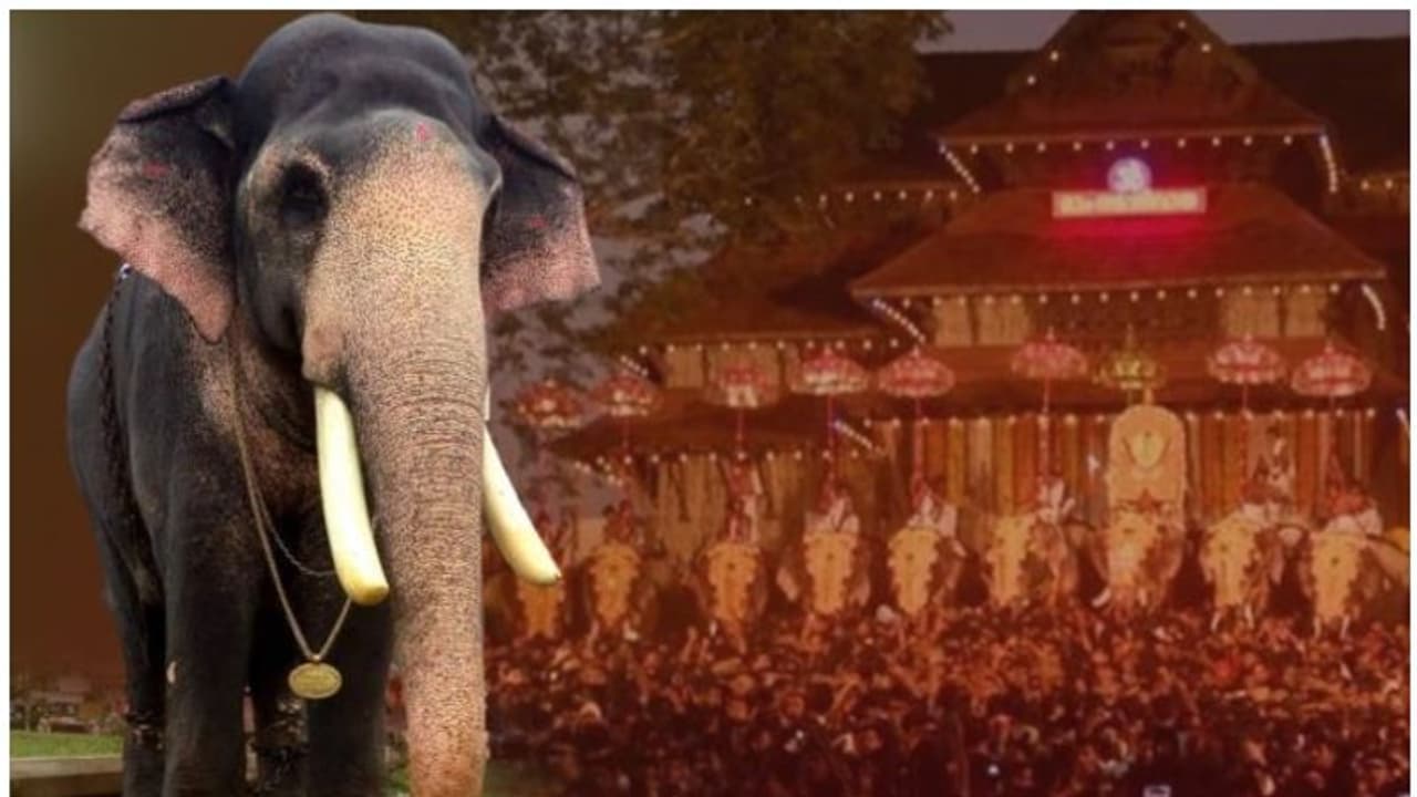 തൃശ്ശൂര്‍ പൂര വിളംബരം; തെച്ചിക്കോട്ടുകാവ് രാമചന്ദ്രനെ പരിഗണിച്ചില്ല, ഇക്കുറിയും തിടമ്പേറ്റുക എറണാകുളം ശിവകുമാർ