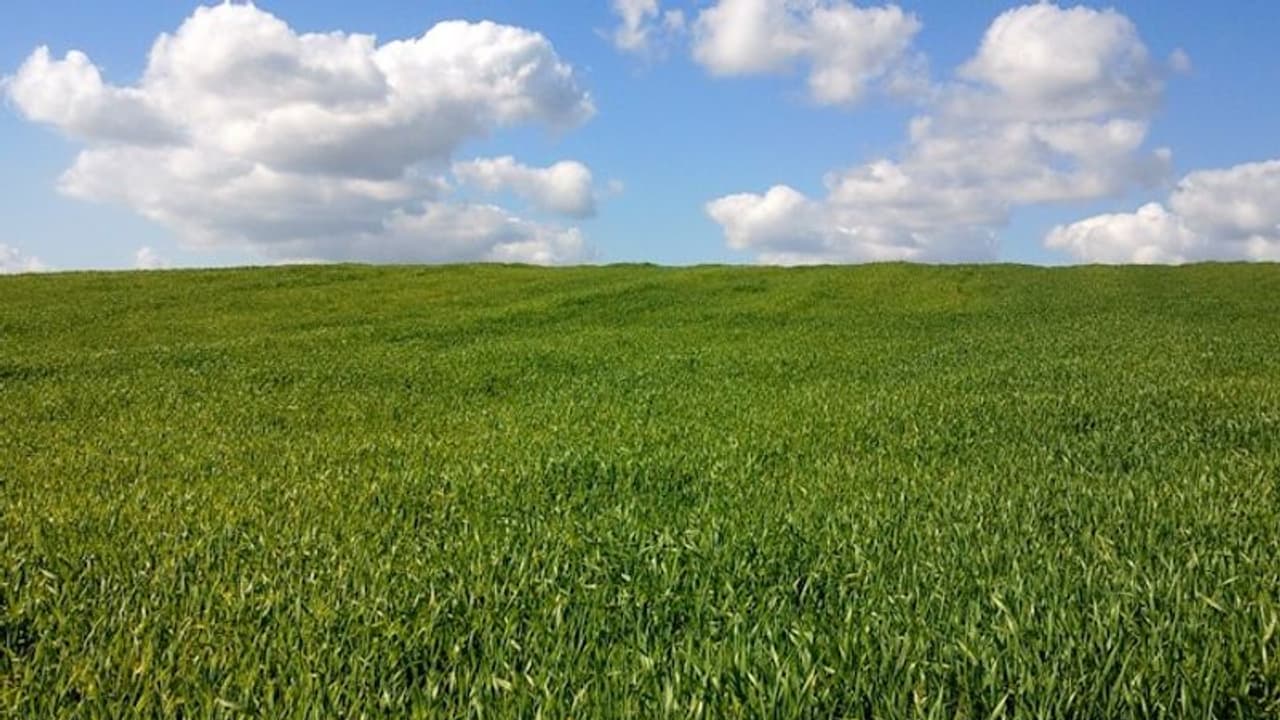 Did you know Microsoft paid THIS much for Windows XP's wallpaper Did you know Microsoft paid THIS much for Windows XP's wallpaper