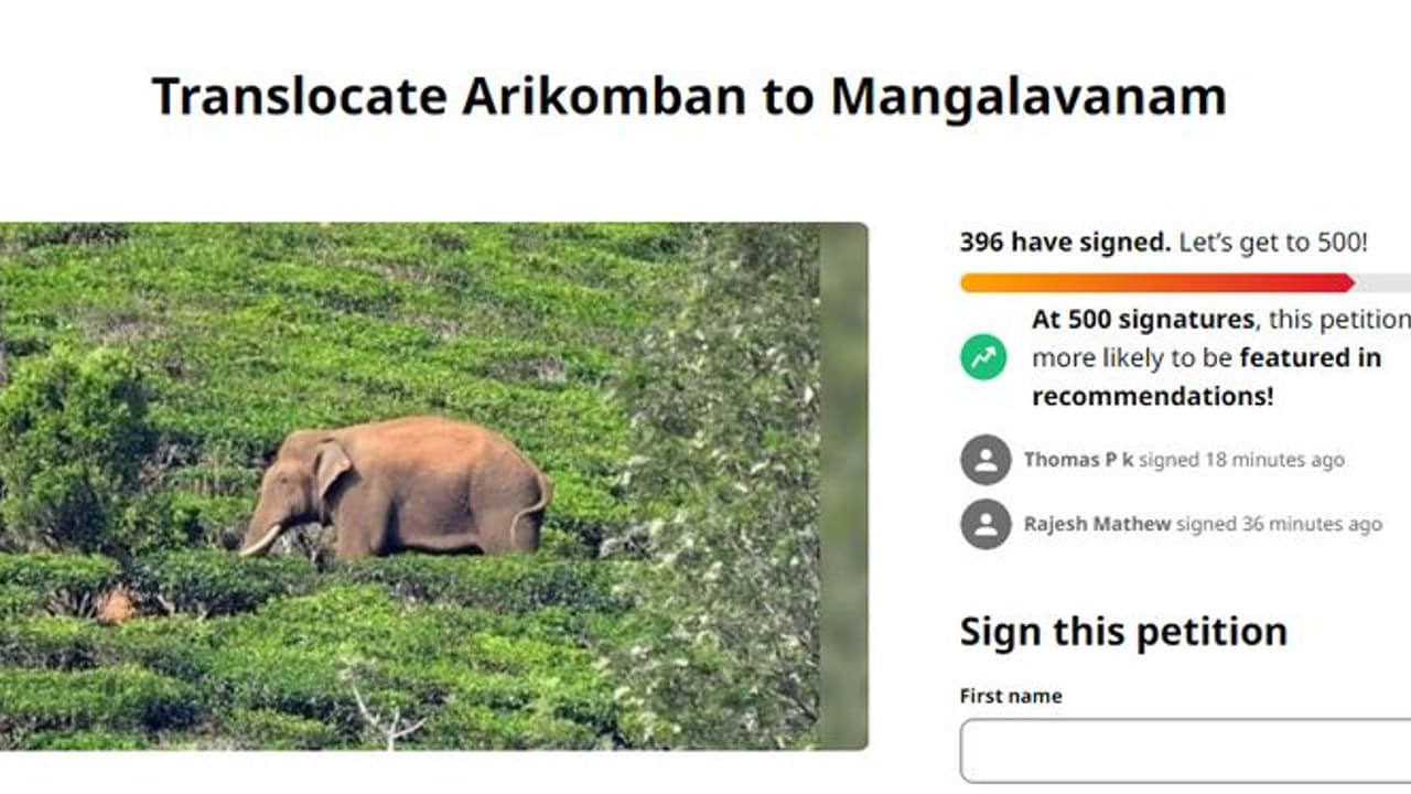 അരിക്കൊമ്പനെ എറണാകുളം നഗരത്തിലെ 'മംഗളവനത്തിലേക്ക്' മാറ്റുക; ഓണ്ലൈന് ക്യാംപെയിന് അരിക്കൊമ്പനെ എറണാകുളം നഗരത്തിലെ 'മംഗളവനത്തിലേക്ക്' മാറ്റുക; ഓണ്ലൈന് ക്യാംപെയിന്