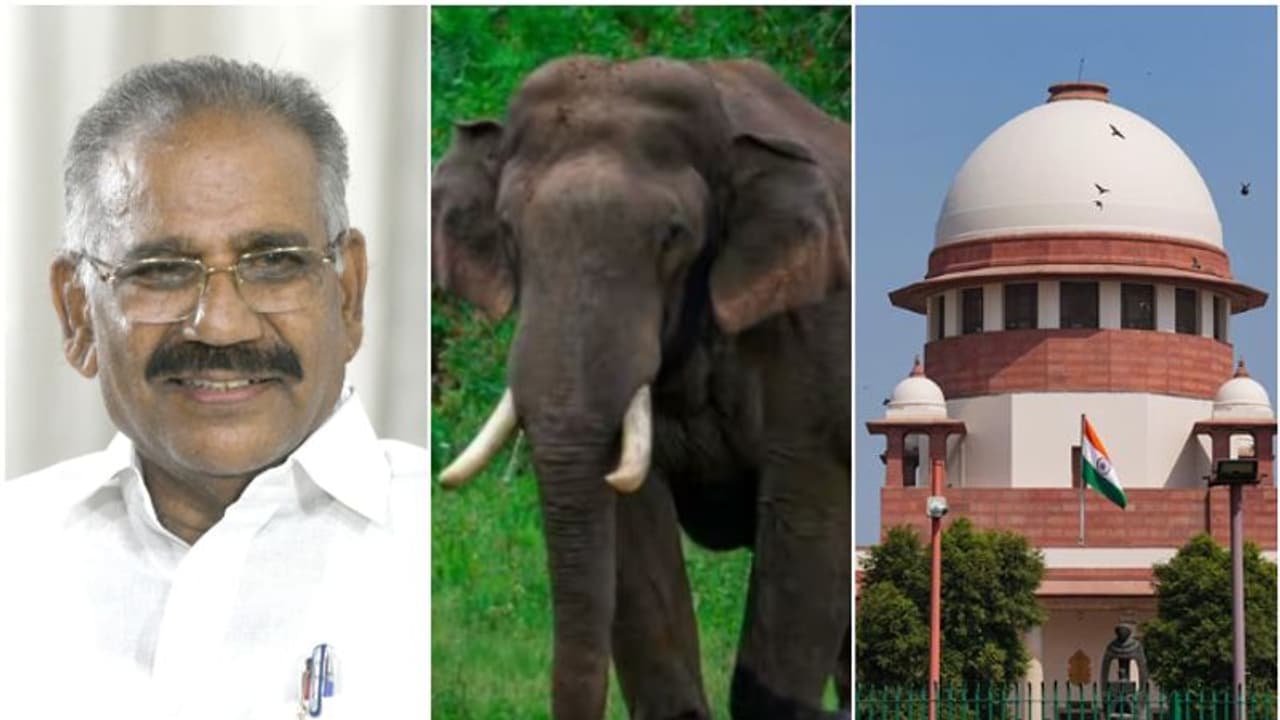 അരിക്കൊമ്പന്‍ വിഷയം: തിങ്കളാഴ്ച തന്നെ സുപ്രീംകോടതിയെ സമീപിക്കുമെന്ന് മന്ത്രി