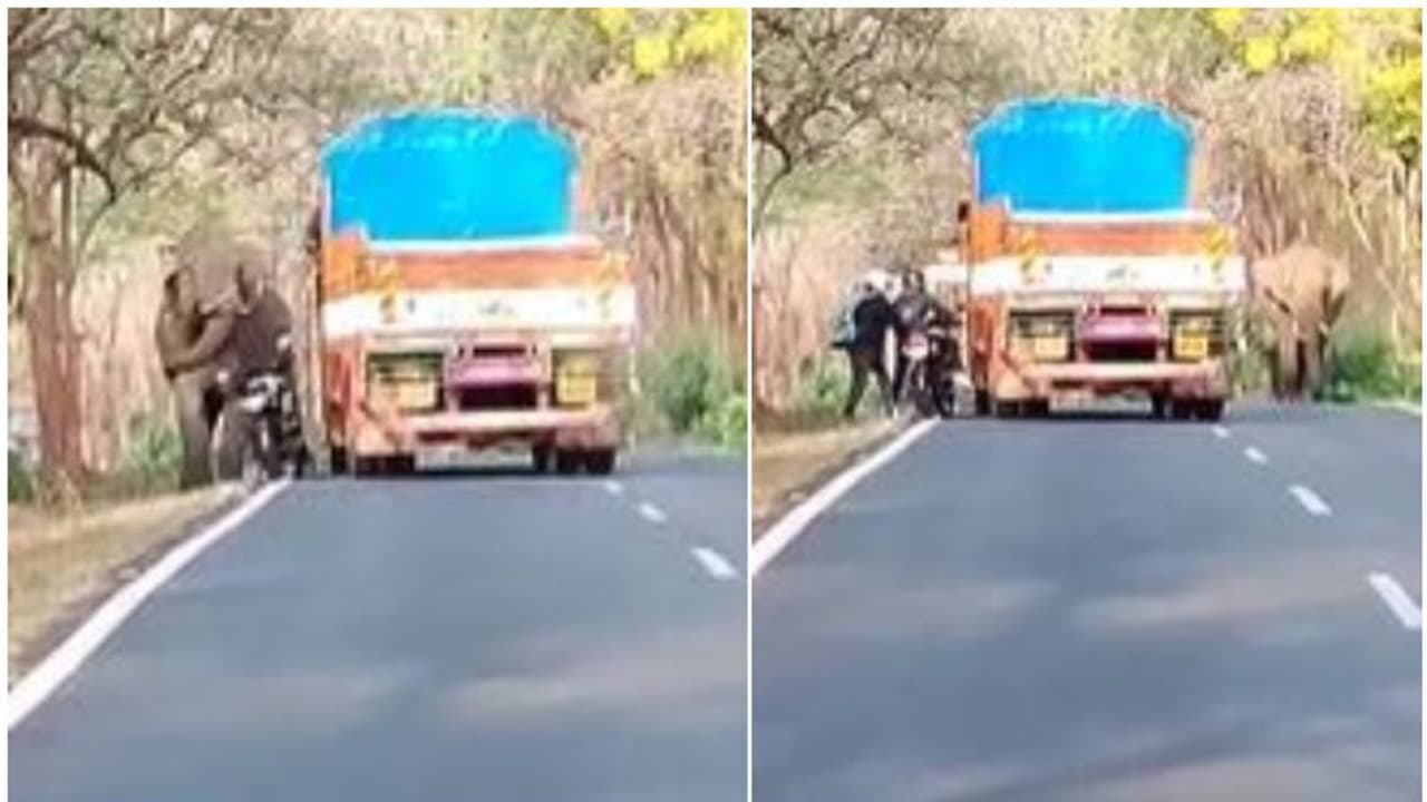 ഒന്നങ്ങോട്ടോ ഇങ്ങോട്ടോ....; കാട്ടുകൊമ്പന് മുന്നിൽ നിന്ന് രക്ഷപ്പെടുന്ന യുവാക്കൾ വീഡിയോ ഒന്നങ്ങോട്ടോ ഇങ്ങോട്ടോ....; കാട്ടുകൊമ്പന് മുന്നിൽ നിന്ന് രക്ഷപ്പെടുന്ന യുവാക്കൾ വീഡിയോ