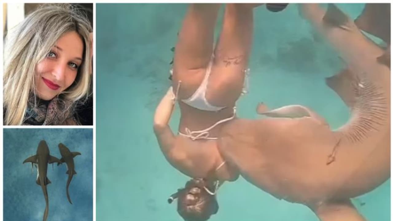  കടലില്‍ നീന്തുന്നതിനിടെ യുവതിയെ സ്രാവ് കടിച്ചു; 6 ഇഞ്ച് മുറിവ്, ഭയപ്പെടുത്തുന്ന ദൃശ്യം !