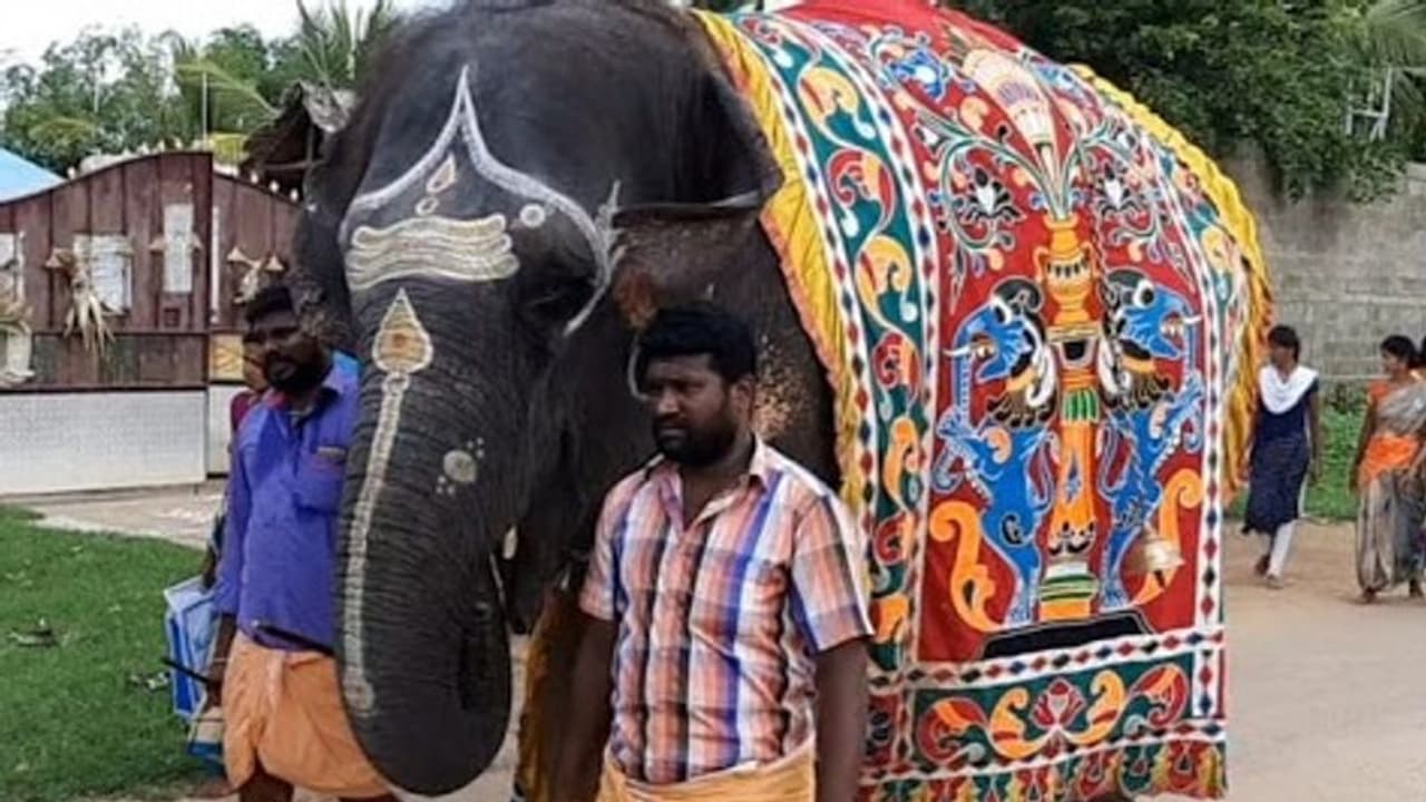 Good Time Signs: ಒಳ್ಳೆ ಸಮಯ ಬರೋ ಮುನ್ನ ಎಷ್ಟೆಲ್ಲ ಸಂಕೇತ ನೀಡುತ್ತೆ ಗೊತ್ತಾ?