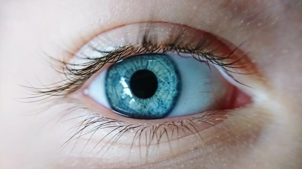 Are you a blue eyed person? If yes, you could be a descendant of a single human! Scientists explain