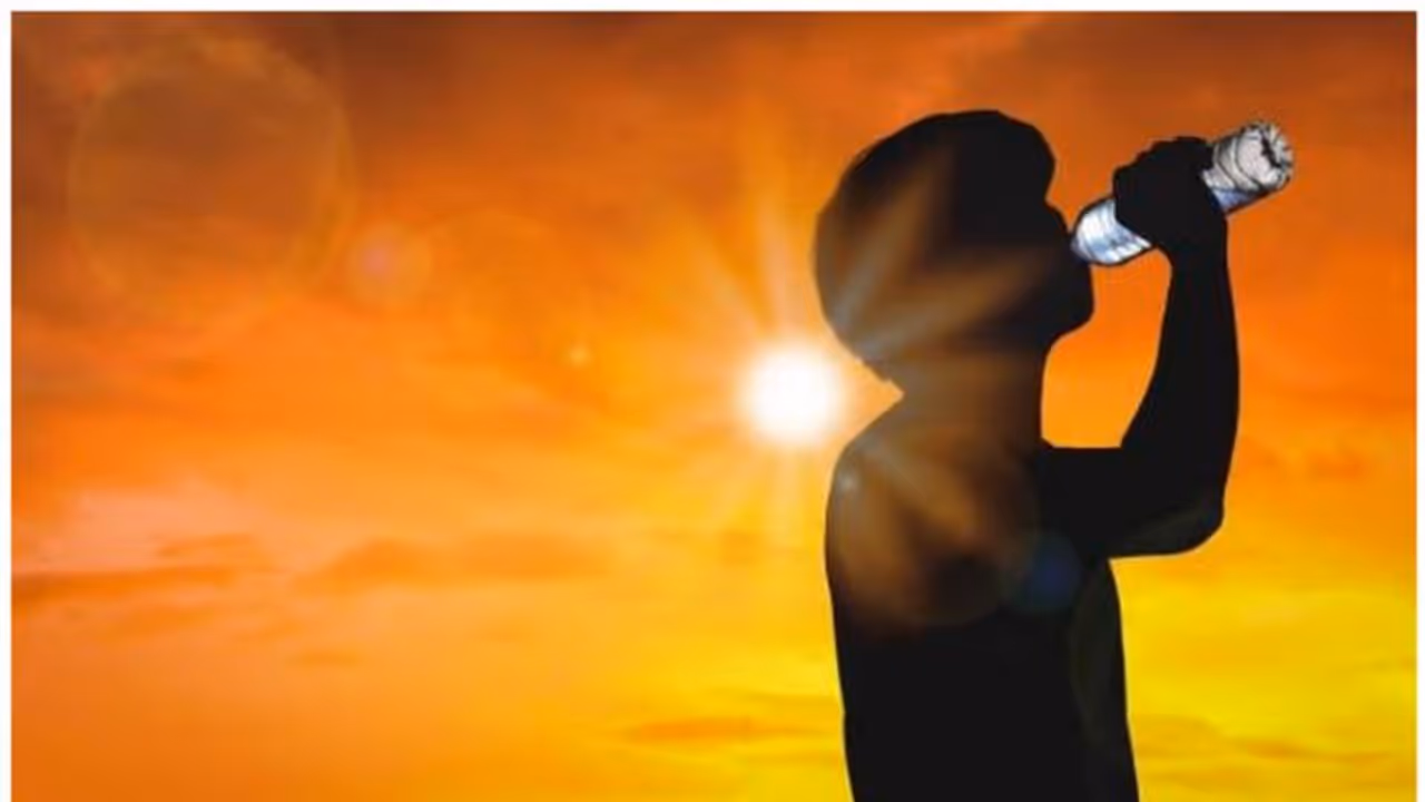 வெயில் தாக்கமா...உடலை குளிர்ச்சியாக வைக்க உதவும் மூலிகைகள்..! வெயில் தாக்கமா...உடலை குளிர்ச்சியாக வைக்க உதவும் மூலிகைகள்..!