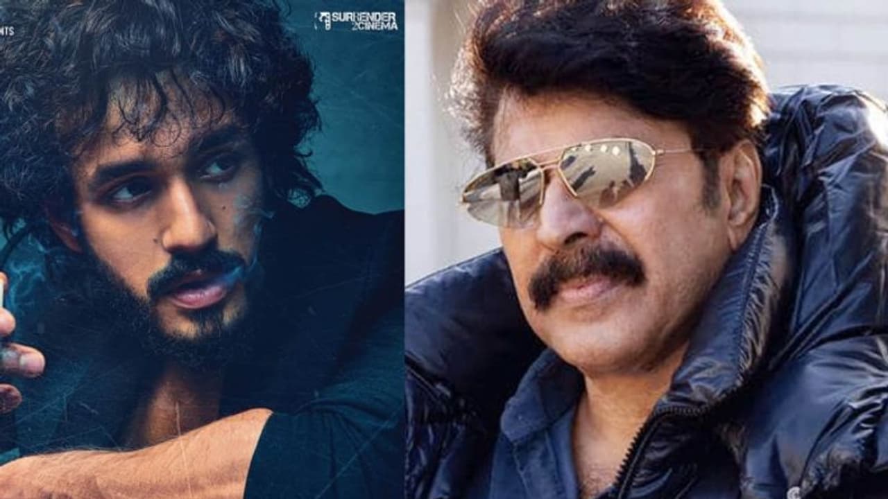 'അദ്ദേഹത്തിന്റെ പ്രകടനം എന്നെ ഭയപ്പെടുത്തി, എന്തൊരു അഭിനയവും കഴിവും'; മമ്മൂട്ടിയെ കുറിച്ച് അഖിൽ