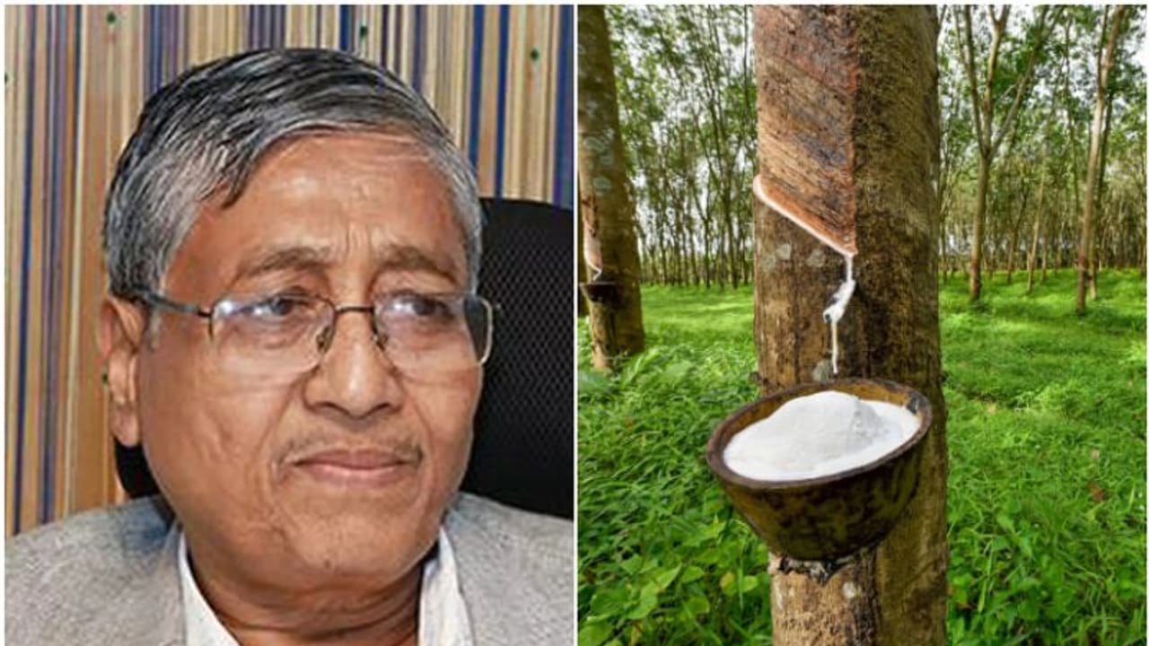 റബർ വില 300 രൂപയാകുമോ എന്ന് ചോദ്യം; ഒന്നും പറയാനാകില്ലെന്ന് റബർ ബോർഡ് ചെയർമാൻ റബർ വില 300 രൂപയാകുമോ എന്ന് ചോദ്യം; ഒന്നും പറയാനാകില്ലെന്ന് റബർ ബോർഡ് ചെയർമാൻ