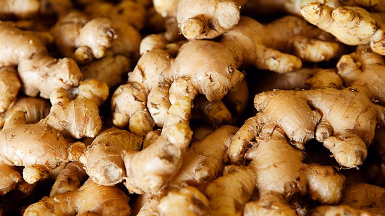 ഇഞ്ചിയ്ക്ക് ഇത്രയും ഗുണങ്ങളോ...! ഇഞ്ചിയ്ക്ക് ഇത്രയും ഗുണങ്ങളോ...!