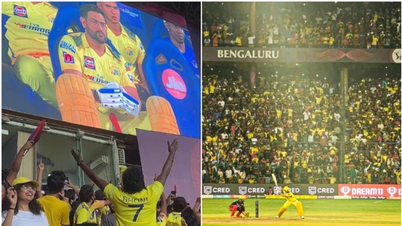 ഏത് മണ്ണും ധോണിക്ക് സമം! ചിന്നസ്വാമി പിടിച്ചടക്കി സിഎസ്ക്കെ ഫാന്സ്; മുഴങ്ങിയത് ധോണി.. ധോണി.. ധോണി വീഡിയോ ഏത് മണ്ണും ധോണിക്ക് സമം! ചിന്നസ്വാമി പിടിച്ചടക്കി സിഎസ്ക്കെ ഫാന്സ്; മുഴങ്ങിയത് ധോണി.. ധോണി.. ധോണി വീഡിയോ