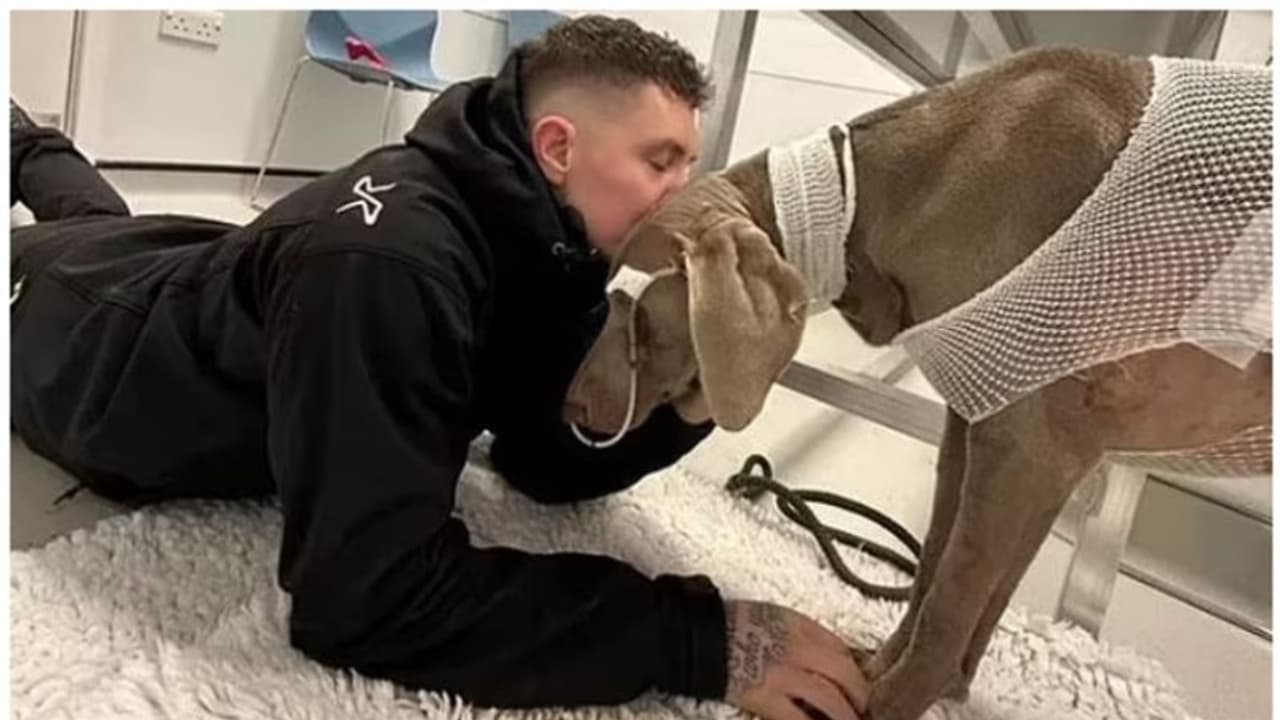 20 ലക്ഷത്തിന്‍റെ വെറ്ററിനറി ബില്ല്; നായയെ സംരക്ഷിക്കാന്‍ വീട് വില്‍ക്കാനൊരുങ്ങി യുവാവ് 