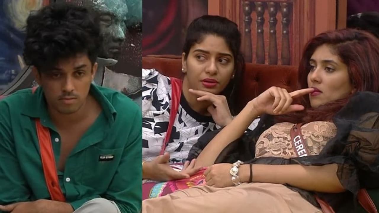 'സാഗറിന്‍റേത് പ്രണയ സ്ട്രാറ്റജി'? സെറീനയോട് സംശയം പങ്കുവച്ച് റെനീഷ