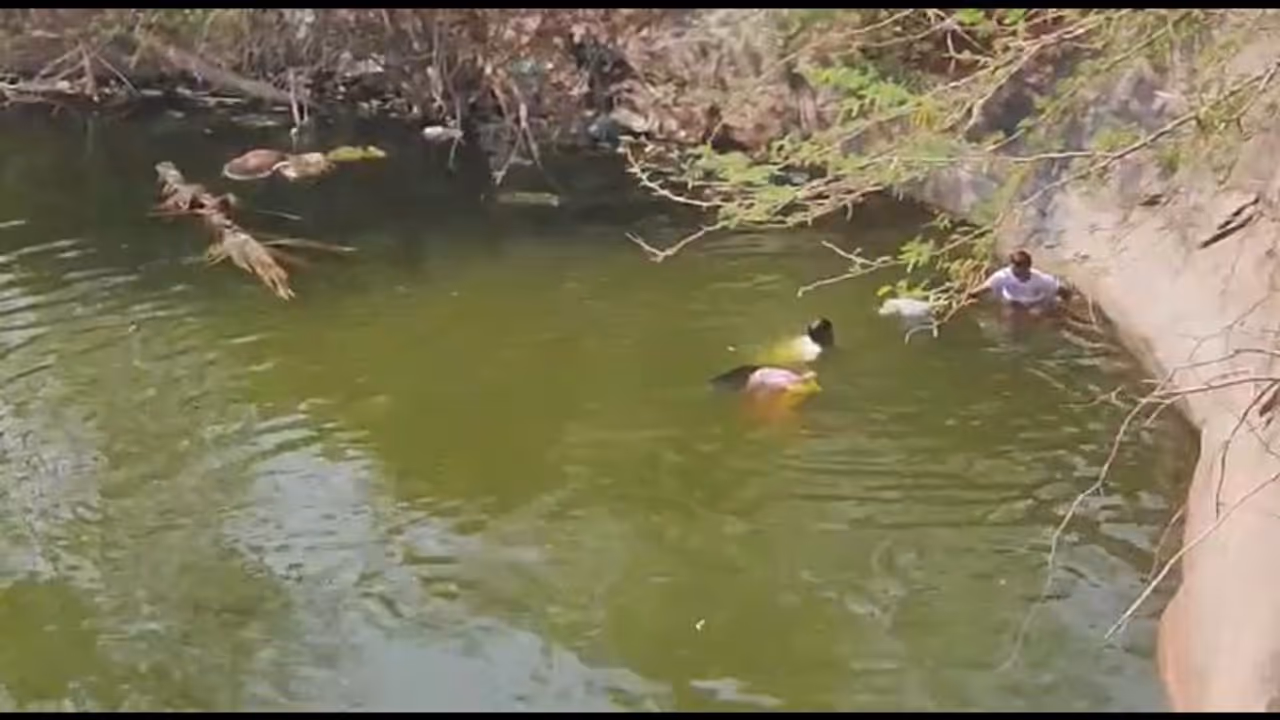 கோவையில் கடன் தொல்லை தாங்காமல் வயதான தம்பதி தற்கொலை