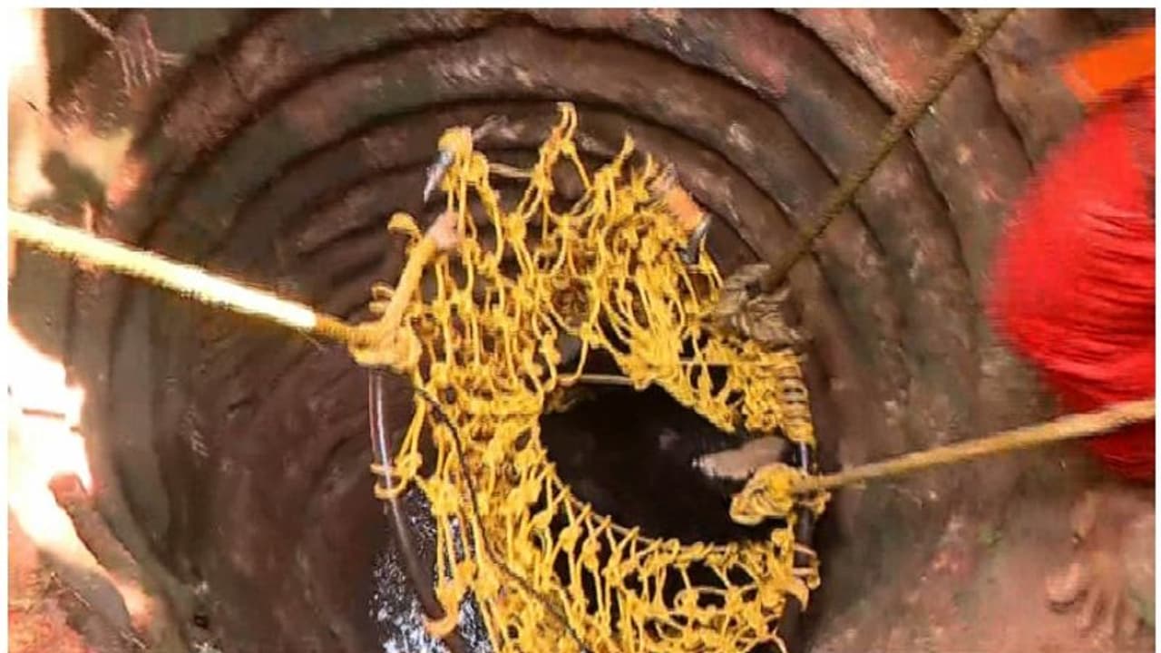 Kerala: Bear trapped in well drowns while being rescued by forest department staff Kerala: Bear trapped in well drowns while being rescued by forest department staff