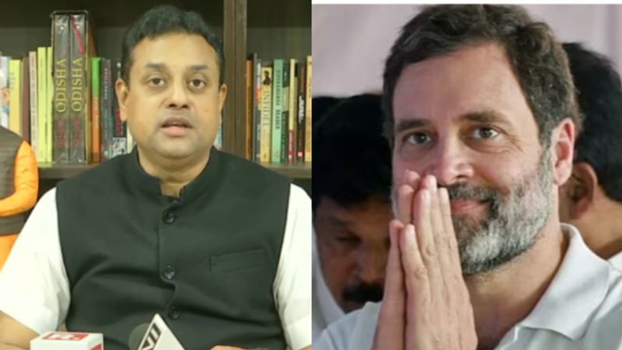 'രാഹുൽഗാന്ധി നിയമത്തിന് മുകളിൽ അല്ല,അയോഗ്യത തുടരുമെന്ന വിധി ഗാന്ധികുടുംബത്തിന്റെ അഹങ്കാരത്തിനേറ്റ തിരിച്ചടി' 'രാഹുൽഗാന്ധി നിയമത്തിന് മുകളിൽ അല്ല,അയോഗ്യത തുടരുമെന്ന വിധി ഗാന്ധികുടുംബത്തിന്റെ അഹങ്കാരത്തിനേറ്റ തിരിച്ചടി'