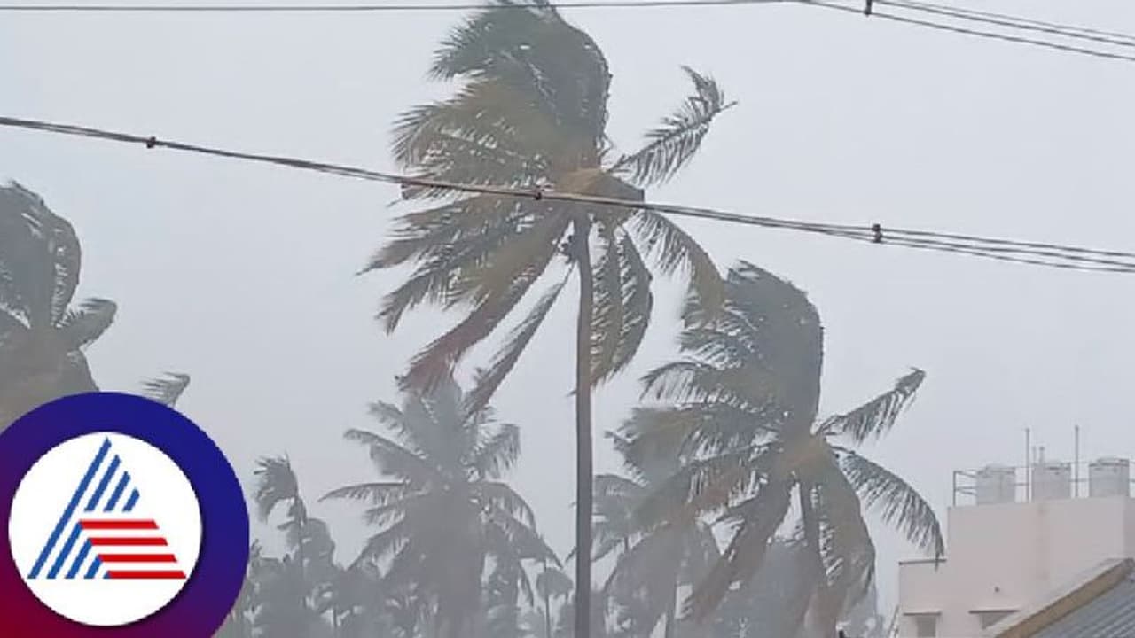 Chikkamagaluru rain: ಕಾದ ಕಾವಲಿಯಾಗಿದ್ದ ಕಾಫಿನಾಡಲ್ಲಿ ತಂಪೆರೆದ ಮಳೆರಾಯ! Chikkamagaluru rain: ಕಾದ ಕಾವಲಿಯಾಗಿದ್ದ ಕಾಫಿನಾಡಲ್ಲಿ ತಂಪೆರೆದ ಮಳೆರಾಯ!