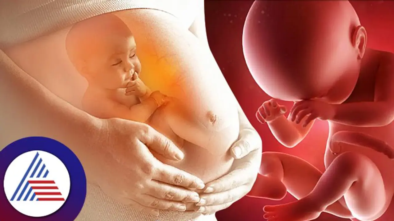 Vastu tips for pregnancy: ಬಂಜೆತನ ಹೋಗಲಾಡಿಸಲು ಪರಿಣಾಮಕಾರಿ ಸಲಹೆಗಳು..