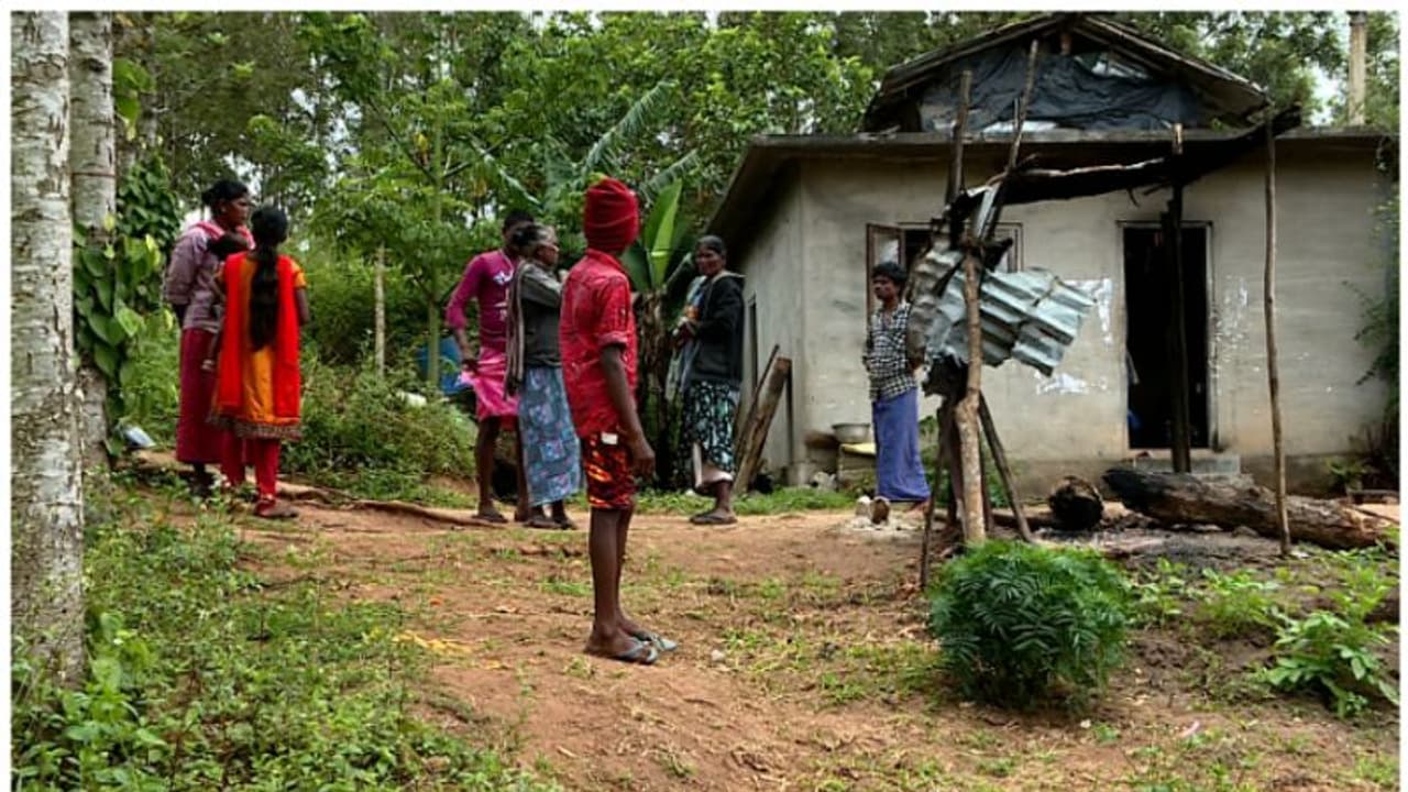 ചിന്നക്കനാൽ 301 കോളനി ആദിവാസി പുനരധിവാസം; റിപ്പോര്ട്ട് സമര്പ്പിക്കാൻ കളക്ടറോട് റവന്യൂ മന്ത്രി ചിന്നക്കനാൽ 301 കോളനി ആദിവാസി പുനരധിവാസം; റിപ്പോര്ട്ട് സമര്പ്പിക്കാൻ കളക്ടറോട് റവന്യൂ മന്ത്രി