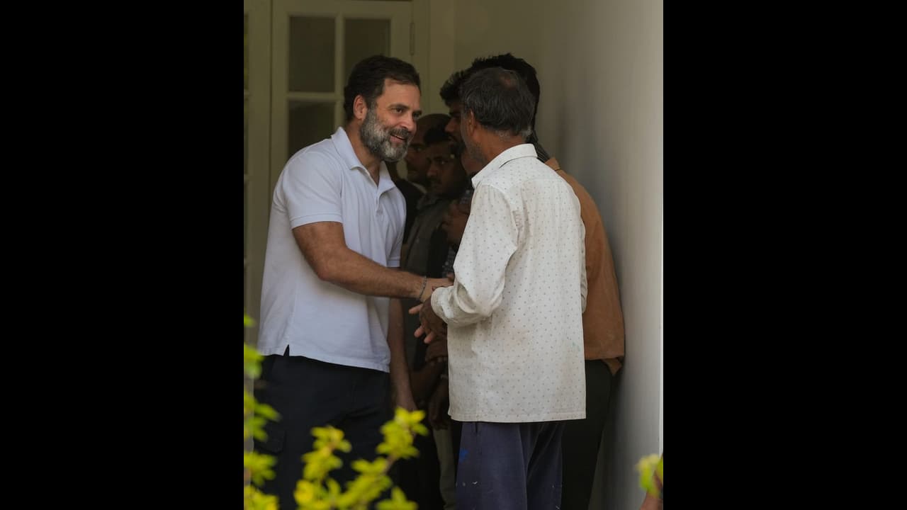 Rahul Gandhi moves Gujarat HC seeking stay on conviction in 'Modi surname' defamation case Rahul Gandhi moves Gujarat HC seeking stay on conviction in 'Modi surname' defamation case