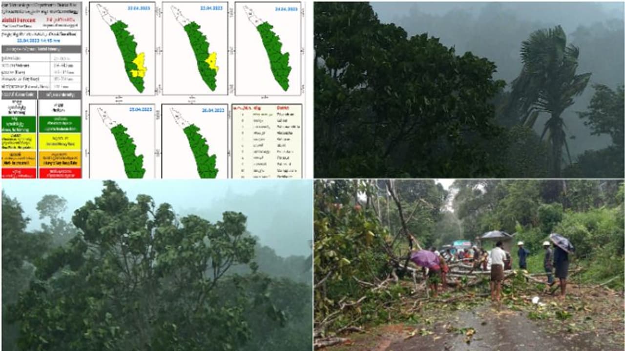വേനൽമഴ മെച്ചപ്പെടുന്നു, ഒറ്റപ്പെട്ട ഇടങ്ങളിൽ ശക്തമായ മഴക്ക് സാധ്യത, ഇടുക്കിയിൽ ഇന്ന് യെല്ലോ അലർട്ട്