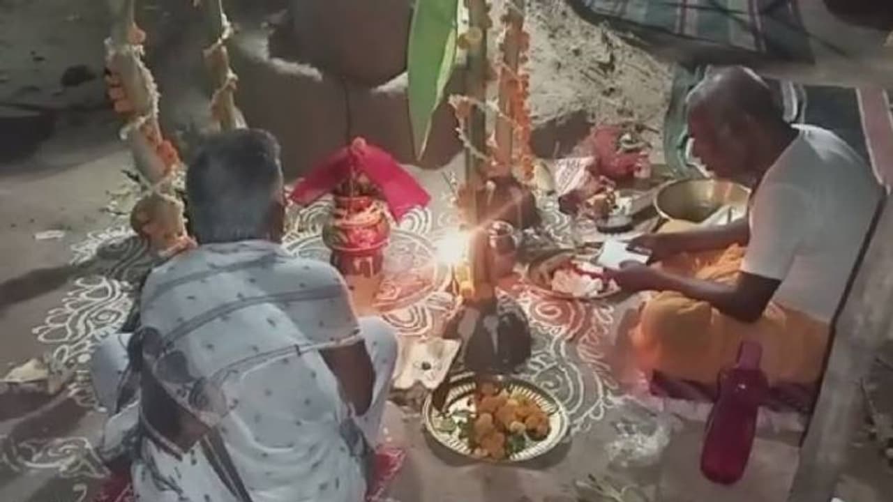 മകനെപ്പോലെ വളർത്തി, ആൽമരത്തെ വിവാഹം കഴിപ്പിച്ച് സ്ത്രീ!