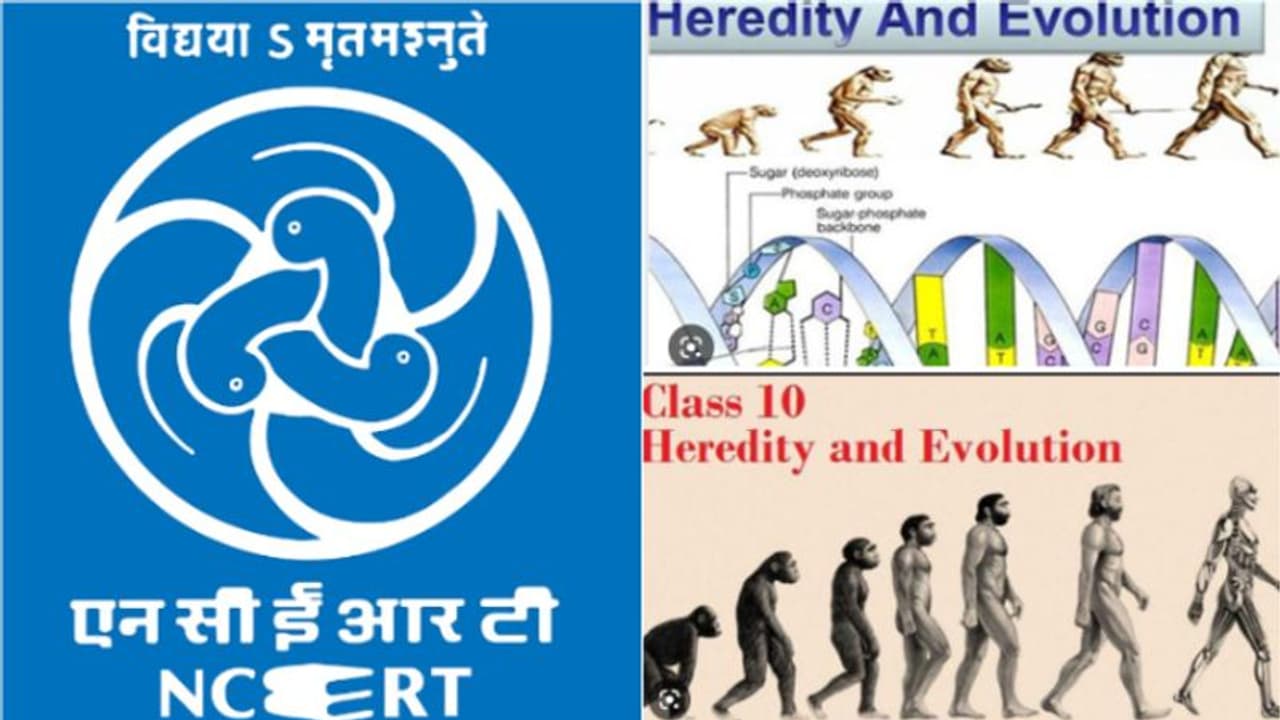 'ഡാർവിൻ സിദ്ധാന്തം ഒഴിവാക്കിയ നടപടി പിന്വലിക്കണം'എൻസിഇആർടി ശാസ്ത്രപുസ്തകത്തിലെ സിലബസ് പരിഷ്കരണത്തിൽ പ്രതിഷേധം 'ഡാർവിൻ സിദ്ധാന്തം ഒഴിവാക്കിയ നടപടി പിന്വലിക്കണം'എൻസിഇആർടി ശാസ്ത്രപുസ്തകത്തിലെ സിലബസ് പരിഷ്കരണത്തിൽ പ്രതിഷേധം