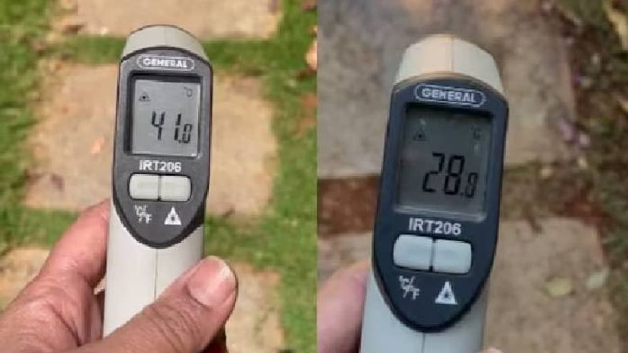 എസി വേണ്ട! ചൂടിനെ പ്രതിരോധിക്കാൻ വഴി പറഞ്ഞ് യുവതിയുടെ ട്വീറ്റ്, കയ്യടിച്ച് സോഷ്യൽ മീഡിയ എസി വേണ്ട! ചൂടിനെ പ്രതിരോധിക്കാൻ വഴി പറഞ്ഞ് യുവതിയുടെ ട്വീറ്റ്, കയ്യടിച്ച് സോഷ്യൽ മീഡിയ