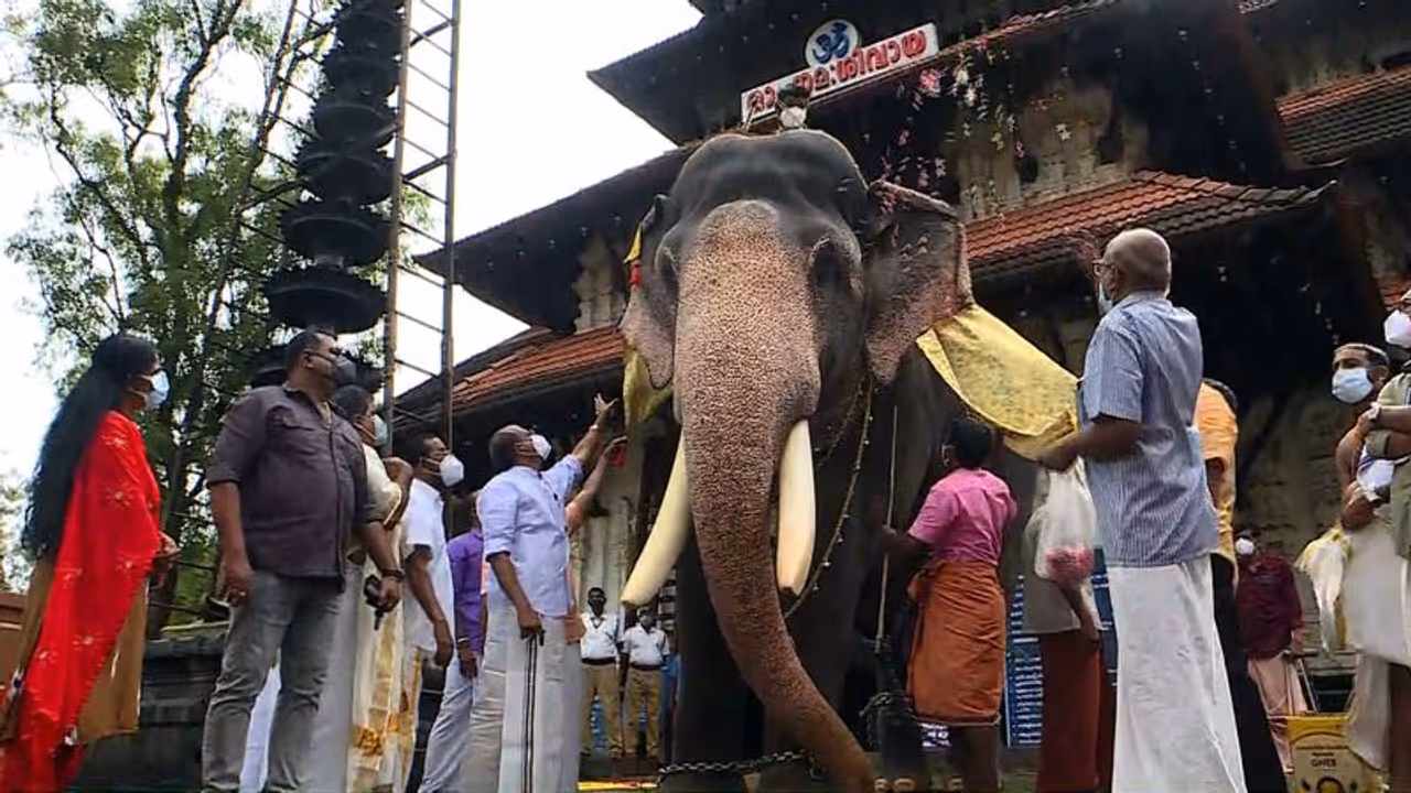 ശക്തന്റെ തട്ടകം പൂരാവേശത്തിലേക്ക്; തൃശ്ശൂർ പൂരത്തിന് ഇന്ന് കൊടിയേറും