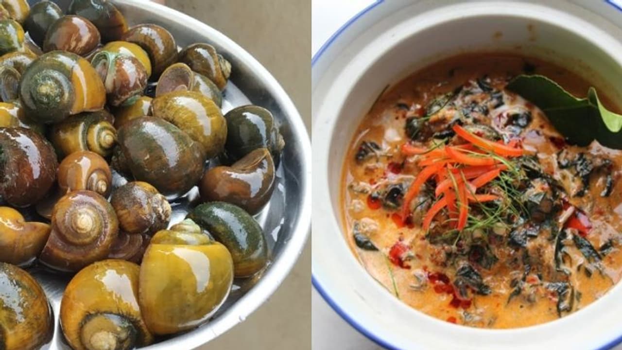 ഏറെ ആരാധകരുള്ള ഒച്ച് കറി; ഇന്ത്യയില് എവിടെയാണിത് പ്രചാരത്തില് എന്നറിയുമോ? ഏറെ ആരാധകരുള്ള ഒച്ച് കറി; ഇന്ത്യയില് എവിടെയാണിത് പ്രചാരത്തില് എന്നറിയുമോ?