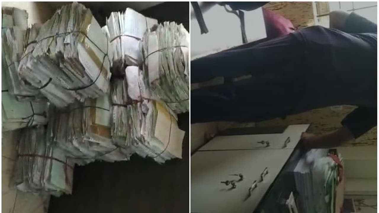 കണക്ക് നോക്കാനെത്തിയതോ! മലപ്പുറത്തെ ബാങ്കിനകത്ത് വിഷസർപ്പം, ജിവനക്കാർ ഞെട്ടി ഓടി; പത്തി വിടർത്തി, പിടിവീണു