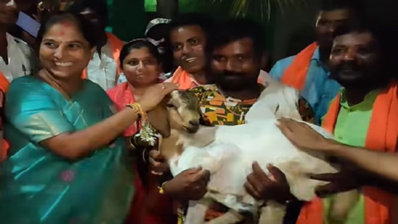 ಚಿತ್ರದುರ್ಗ: ಹಿರಿಯೂರು ಬಿಜೆಪಿ ಅಭ್ಯರ್ಥಿ ಪೂರ್ಣಿಮಾಗೆ ಮೇಕೆ ಮರಿ ಗಿಫ್ಟ್..! ಚಿತ್ರದುರ್ಗ: ಹಿರಿಯೂರು ಬಿಜೆಪಿ ಅಭ್ಯರ್ಥಿ ಪೂರ್ಣಿಮಾಗೆ ಮೇಕೆ ಮರಿ ಗಿಫ್ಟ್..!