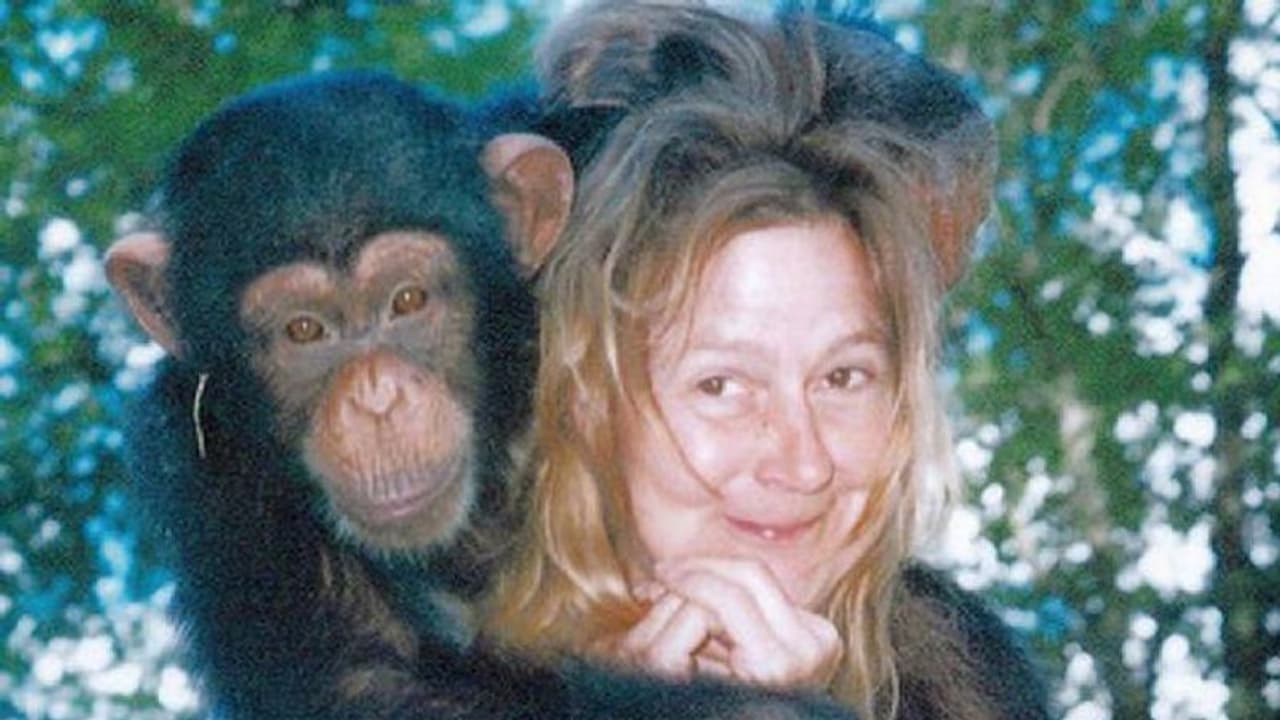 സുഹൃത്തിന്റെ വീട്ടിലെ ചിമ്പാൻസി കടിച്ചുകീറി, ഇന്ന് കഴിയുന്നത് കെയർഹോമിലെ ഒരു മുറിയിൽ തനിച്ച്