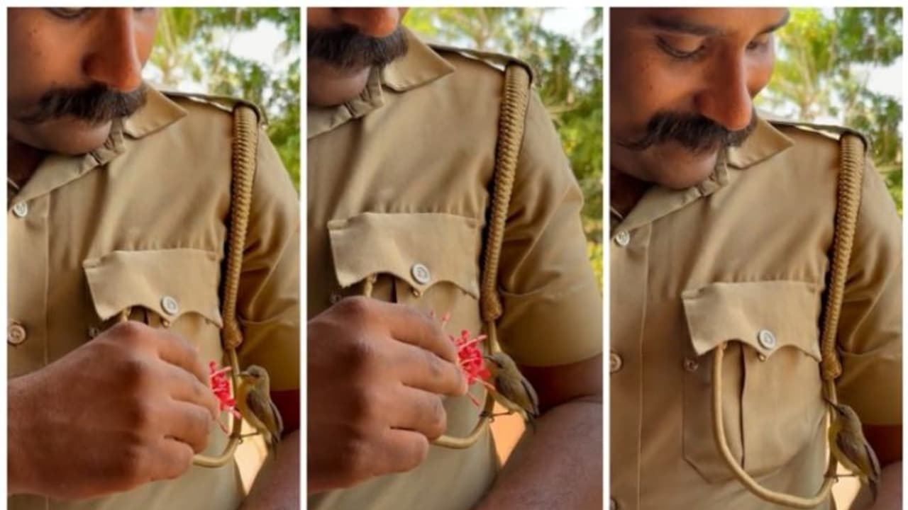"ഹൃദയത്തിൽ കൂട് കൂട്ടാം"; കുരുവിക്ക് തേന് കൊടുക്കുന്ന കേരളാ പോലീസ്, വൈറലായി ഒരു പോലീസ് വീഡിയോ "ഹൃദയത്തിൽ കൂട് കൂട്ടാം"; കുരുവിക്ക് തേന് കൊടുക്കുന്ന കേരളാ പോലീസ്, വൈറലായി ഒരു പോലീസ് വീഡിയോ