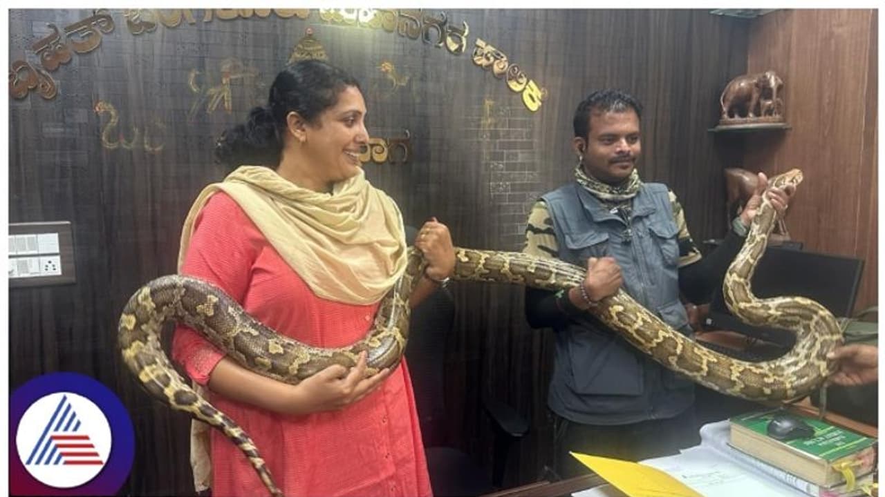 ಬೆಂಗಳೂರು ನಿವಾಸಿಗಳೇ ಎಚ್ಚರ!: ಅಂಜನಾಪುರದಲ್ಲಿ ಬೃಹತ್‌ ಗಾತ್ರದ ಹೆಬ್ಬಾವು ಪತ್ತೆ!