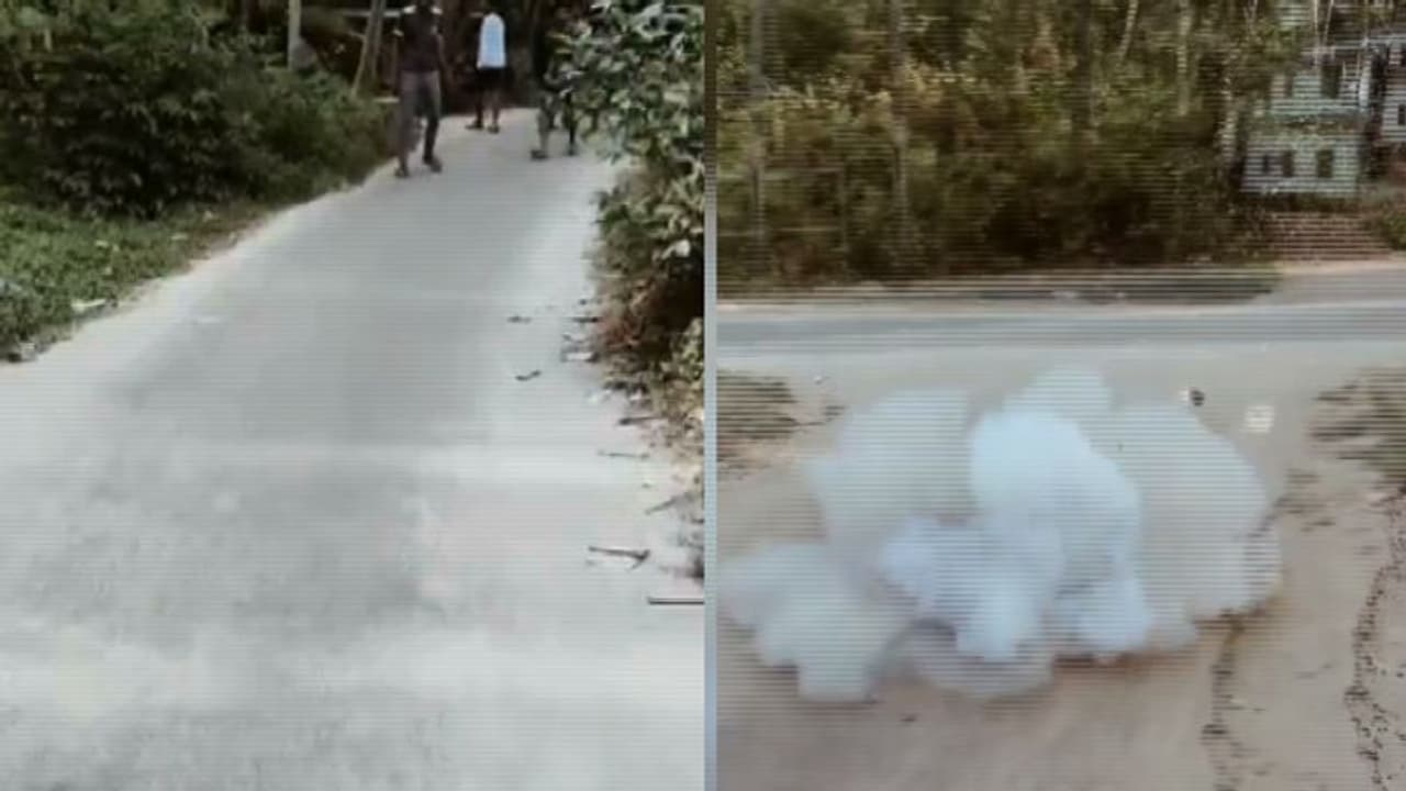 റീല്സില് വൈറലാവാന് ഉഗ്രശേഷിയുള്ള ഏറ് പടക്കമുണ്ടാക്കി സ്ഫോടനം നടത്തി, 19കാരന് അറസ്റ്റില് റീല്സില് വൈറലാവാന് ഉഗ്രശേഷിയുള്ള ഏറ് പടക്കമുണ്ടാക്കി സ്ഫോടനം നടത്തി, 19കാരന് അറസ്റ്റില്