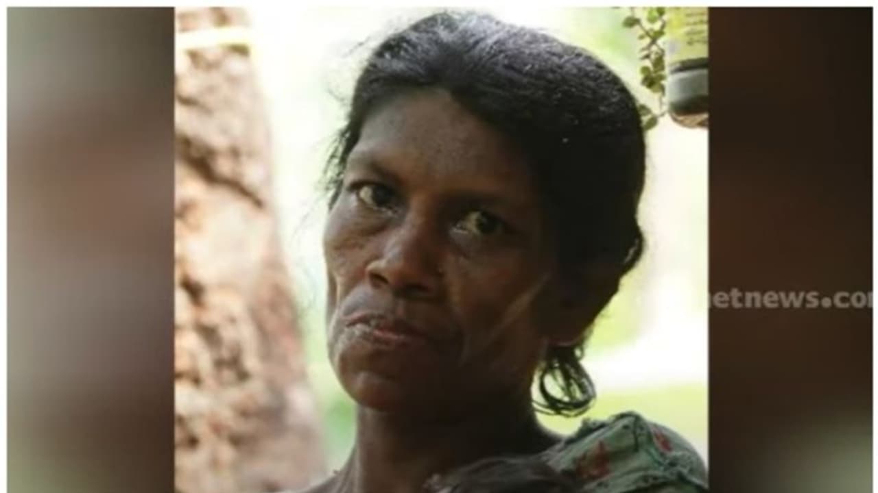 വനത്തിനുള്ളിൽ കൊല്ലപ്പെട്ട നിലയിൽ കണ്ടെത്തിയ ആദിവാസി സ്ത്രീയുടെ പോസ്റ്റ്മോർട്ടം ഇന്ന് വനത്തിനുള്ളിൽ കൊല്ലപ്പെട്ട നിലയിൽ കണ്ടെത്തിയ ആദിവാസി സ്ത്രീയുടെ പോസ്റ്റ്മോർട്ടം ഇന്ന്