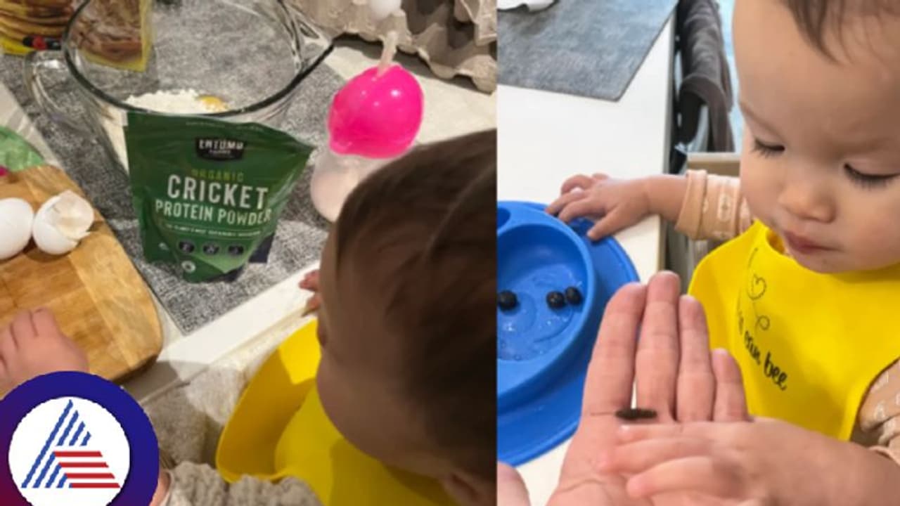 ಯಪ್ಪಾ..ಖರ್ಚಿಲ್ಲದೆ ಪ್ರೊಟೀನ್ ಸಿಗಲಿ ಅಂತ ಮಗುವಿಗೆ ಮಿಡತೆ ತಿನ್ನಿಸ್ತಾಳೆ ತಾಯಿ! ಯಪ್ಪಾ..ಖರ್ಚಿಲ್ಲದೆ ಪ್ರೊಟೀನ್ ಸಿಗಲಿ ಅಂತ ಮಗುವಿಗೆ ಮಿಡತೆ ತಿನ್ನಿಸ್ತಾಳೆ ತಾಯಿ!