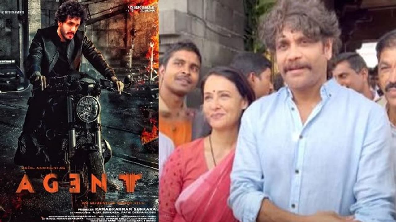 తిరుమల శ్రీవారిని దర్శించుకున్న నాగార్జున అమల, అఖిల్ ఏజెంట్ రిలీజ్ అవుతుండటంతో..? తిరుమల శ్రీవారిని దర్శించుకున్న నాగార్జున అమల, అఖిల్ ఏజెంట్ రిలీజ్ అవుతుండటంతో..?