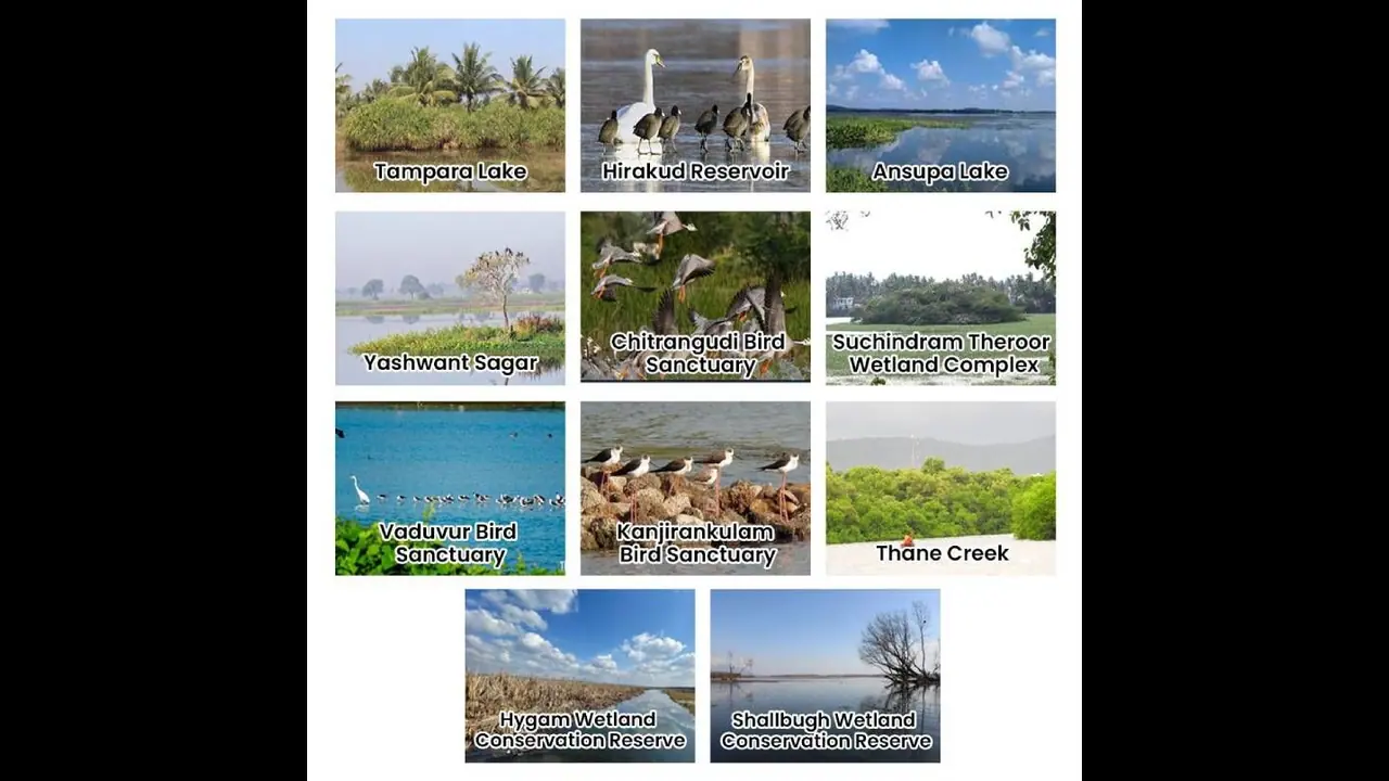 மேலும் 11 சதுப்பு நிலங்களை ராம்சர் தளங்களின் பட்டியலில் சேர்த்த இந்தியா.. அது என்ன ராம்சர் தளங்கள்..? மேலும் 11 சதுப்பு நிலங்களை ராம்சர் தளங்களின் பட்டியலில் சேர்த்த இந்தியா.. அது என்ன ராம்சர் தளங்கள்..?