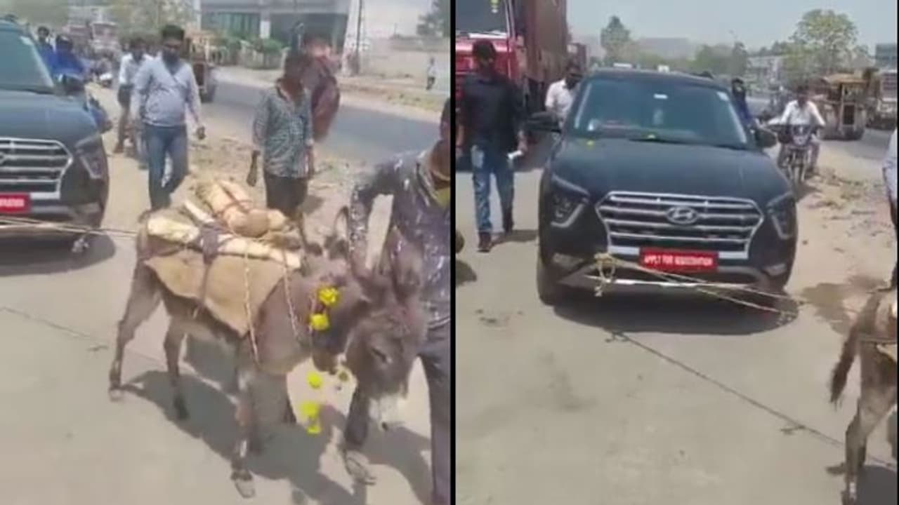 തകരാറിലായ കാര് പൊരിവെയിലത്ത് കഴുതയേക്കൊണ്ട് കെട്ടിവലിപ്പിച്ച് കാറുടമ, രൂക്ഷ വിമര്ശനം തകരാറിലായ കാര് പൊരിവെയിലത്ത് കഴുതയേക്കൊണ്ട് കെട്ടിവലിപ്പിച്ച് കാറുടമ, രൂക്ഷ വിമര്ശനം