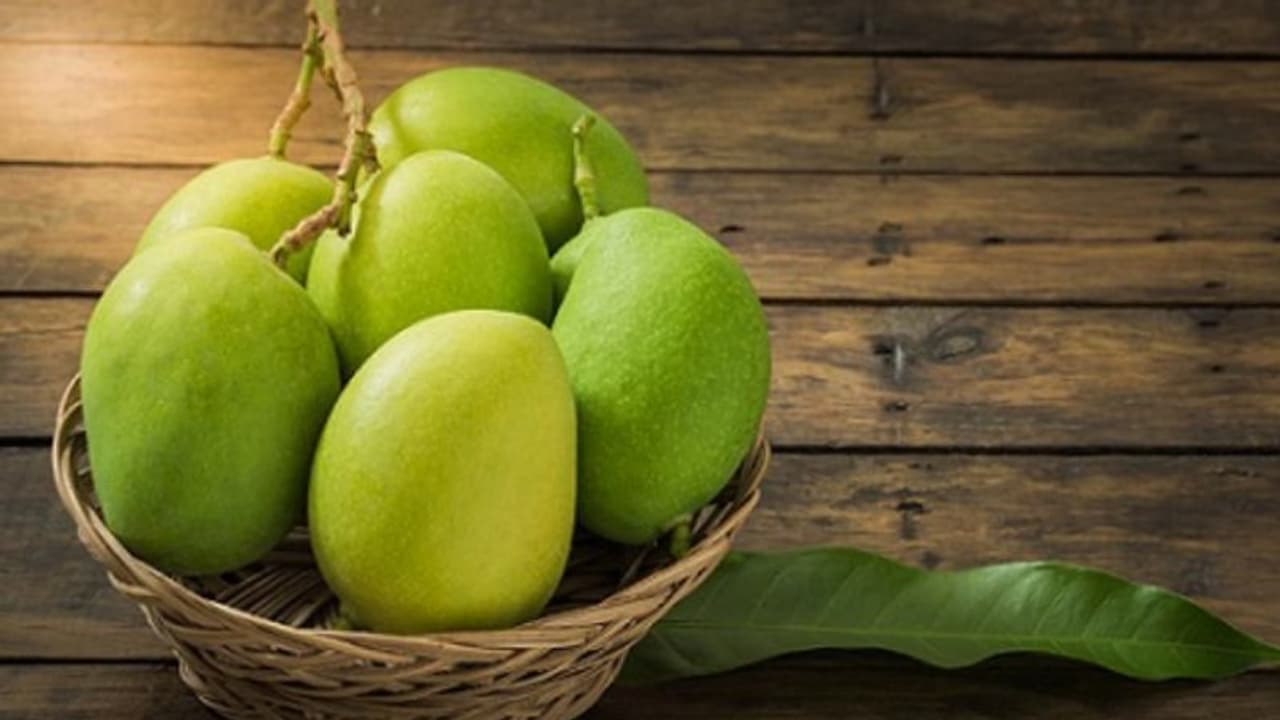 വേനല്ക്കാലത്ത് കഴിക്കാം പച്ചമാങ്ങ; അറിയാം ഗുണങ്ങള്... വേനല്ക്കാലത്ത് കഴിക്കാം പച്ചമാങ്ങ; അറിയാം ഗുണങ്ങള്...