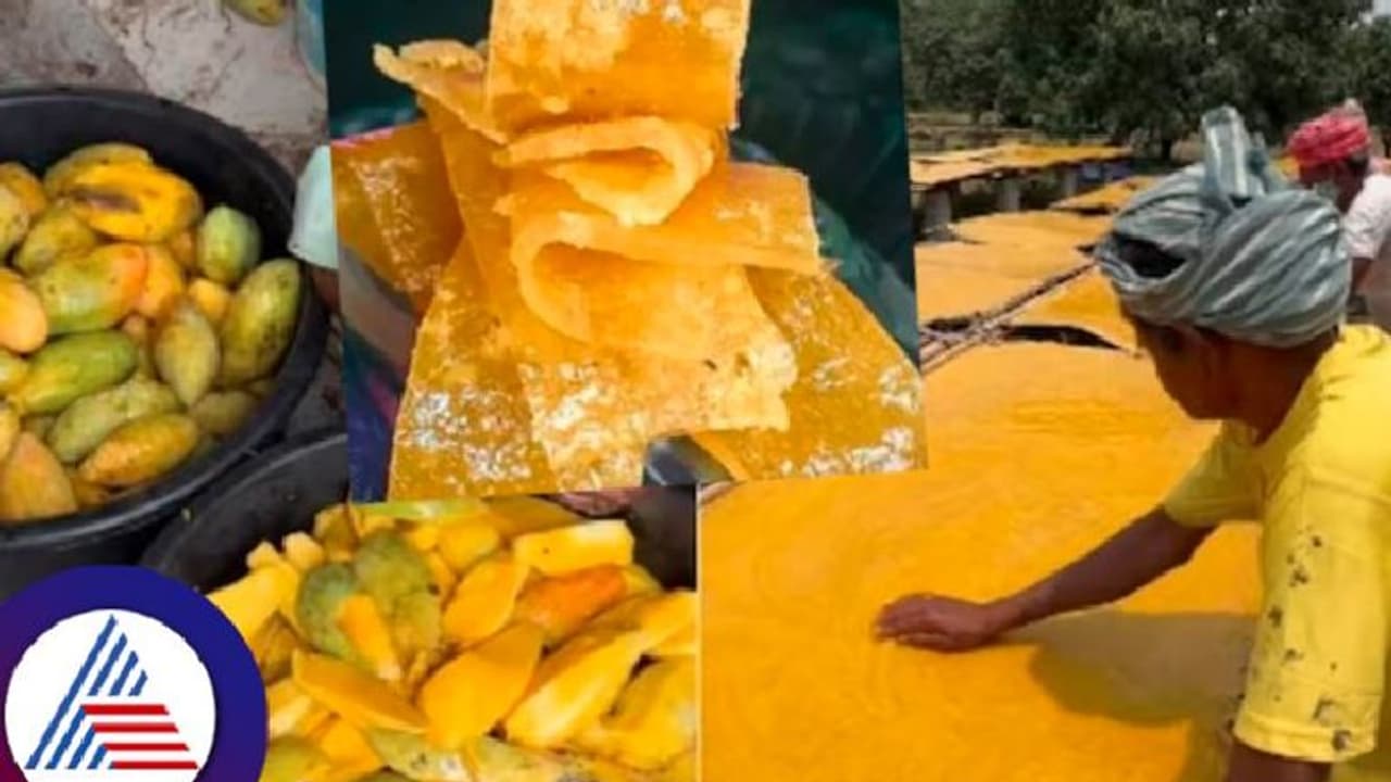 Aam Papad: ಮಾವಿನಹಣ್ಣಿನ ಹಪ್ಪಳ ತಯಾರಿಸೋದು ಹೇಗೆ? ವೀಡಿಯೋ ವೈರಲ್‌