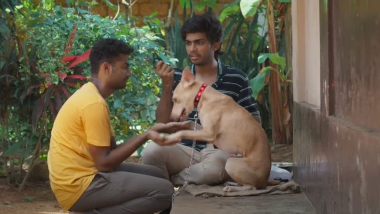 മാത്യുവും നസ്‍ലെനും പിന്നെ 'നെയ്‍മറും'; ഹിറ്റ് ചാര്‍ട്ടില്‍ ഇടംപിടിച്ച് 'ശുനകയുവരാജന്‍'