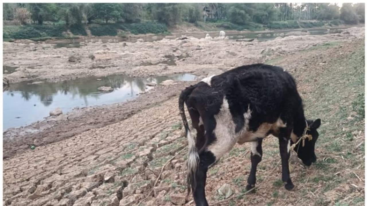 കബനി വരണ്ടു; ഉണര്‍ന്നു പ്രവര്‍ത്തിച്ച് കര്‍ണാടക, ഡാമുകളില്‍ ഇപ്പോഴും വെള്ളം സുലഭം